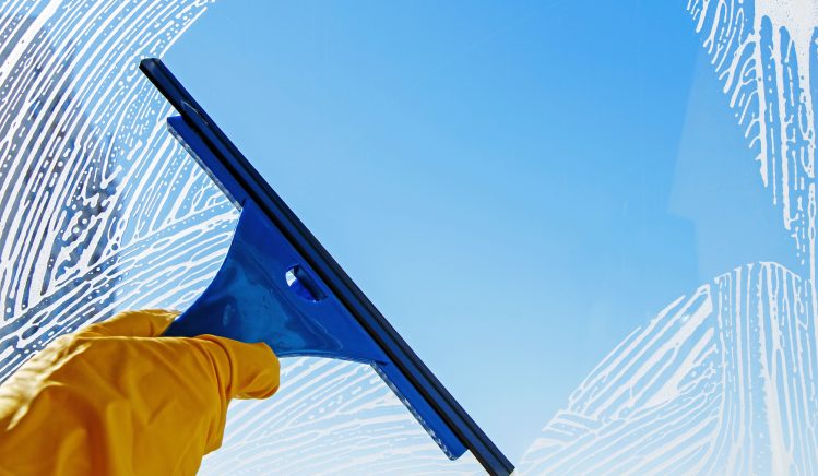 Window Cleaning Services